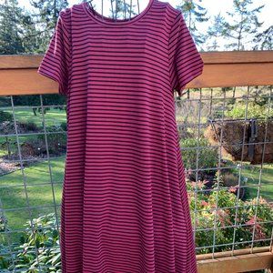 LulaRoe Women's size XS Hi-Low Raspberry Pink & Black Striped Carly Dress